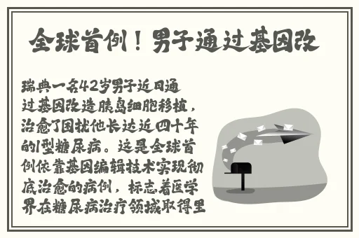 麻app豆传媒