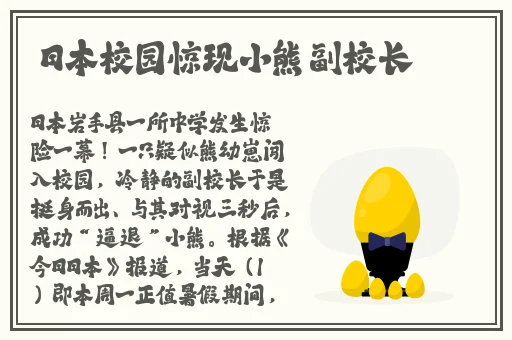 机机对机机网站永久免费下载